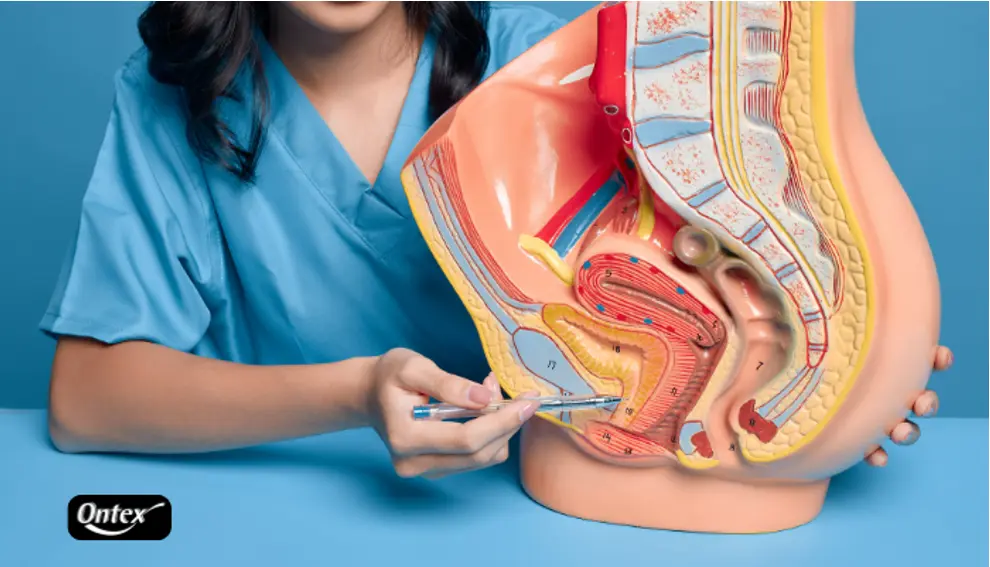 What Is Urinary Incontinence and Who Experiences It